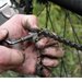 Simi Master Service - Reparatii biciclete